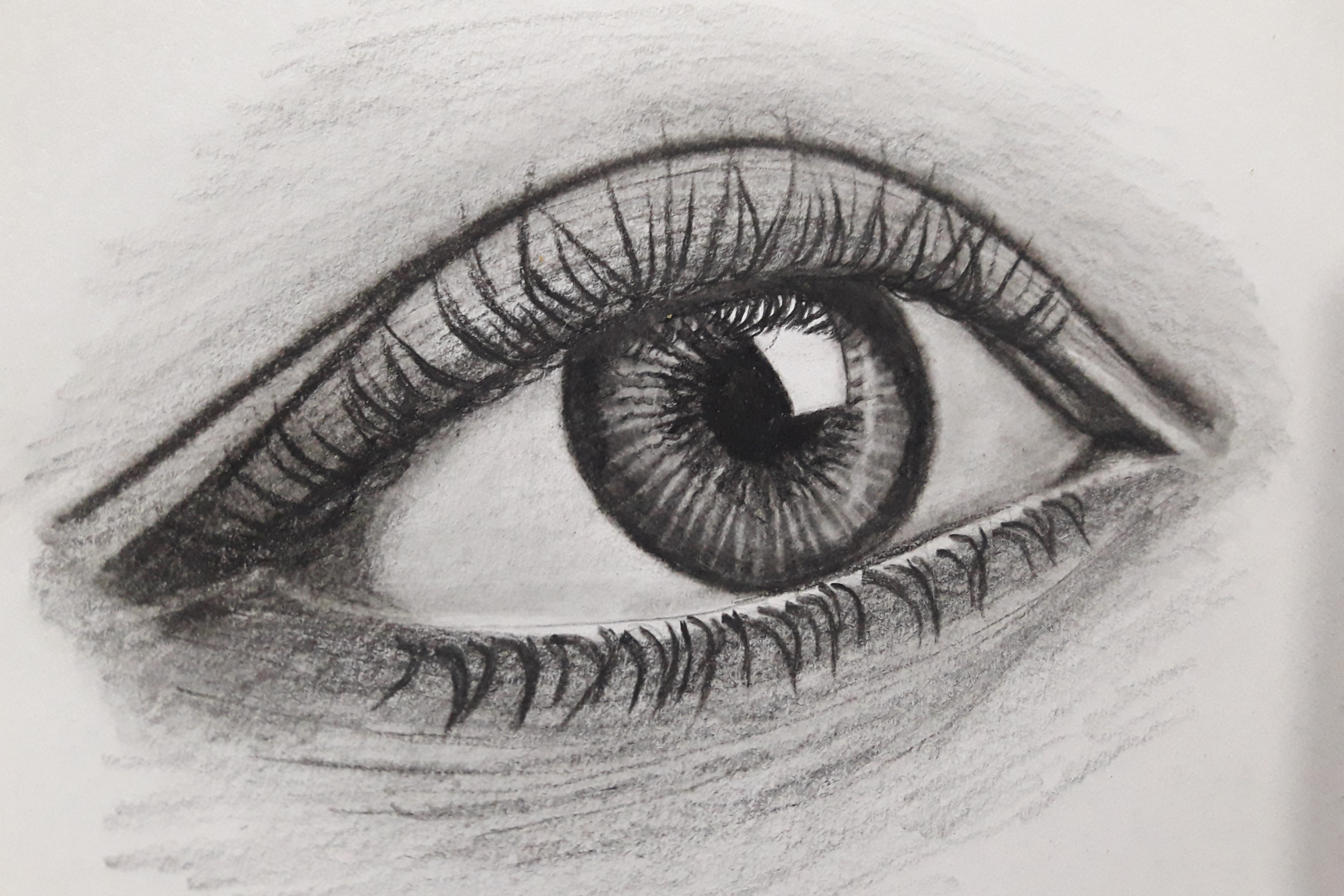 Illustration and Sketching